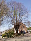 Amstenrade-Wegkruis Hoofdstraat-Poststraat (noord) (1).JPG -  Cross at crossing Hoofdstraat-Poststraat, Amstenrade, Limburg, the Netherlands  Wegkruis aan kruising Hoofdstraat-Poststraat, Amstenrade, Limburg, Nederland
