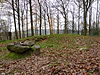 Vaals-Grafheuvelgroep Malensbosch heuvel 1 (3).JPG -  Tumulus 1 in group of tumuli in Malensbosch/Vijlenerbos, Vaals, Limburg, the Netherlands  Heuvel 1 in groep van grafheuvels in Malensbosch/Vijlenerbos, Vaals, Limburg, Nederland