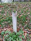 Vaals-Grafheuvelgroep Malensbosch heuvel 1 (4).JPG -  Tumulus 1 in group of tumuli in Malensbosch/Vijlenerbos, Vaals, Limburg, the Netherlands  Heuvel 1 in groep van grafheuvels in Malensbosch/Vijlenerbos, Vaals, Limburg, Nederland