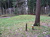 Vaals-Grafheuvelgroep Malensbosch heuvel 2 (2).JPG -  Tumulus 2 in group of tumuli in Malensbosch/Vijlenerbos, Vaals, Limburg, the Netherlands  Heuvel 2 in groep van grafheuvels in Malensbosch/Vijlenerbos, Vaals, Limburg, Nederland