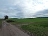 Lemiers-Terrein ten zuiden Oude Trichterweg (1).JPG -  Area south of Oude Trichterweg, Lemiers, Limburg, the Netherlands  Terrein ten zuiden Oude Trichterweg, Lemiers, Limburg, Nederland