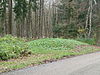 Vaals-Grafheuvel Vaalserberg (1).JPG -  Tumulus Vaalserberg, Vaals, Limburg, the Netherlands  Grafheuvel Vaalserberg, Vaals, Limburg, Nederland