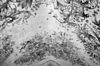 Detail gewelfschildering - Weert - 20251735 - RCE -  Sint Martinus: detail gewelfschildering 