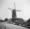 Korenmolen 