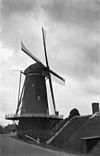 Korenmolen 