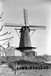 Ronde stenen stellingmolen vanaf de Maasdijk gezien - Wijk en Aalburg - 20003182 - RCE -  De Twee Gebroeders: Ronde stenen stellingmolen vanaf de Maasdijk gezien 