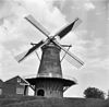 Overzicht ronde stenen stellingmolen - Wijk en Aalburg - 20003189 - RCE -  De Twee Gebroeders: Overzicht ronde stenen stellingmolen 