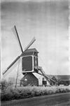 Standerdmolen na restauratie - Asten - 20026383 - RCE -  Oostenwind: Standerdmolen na restauratie 