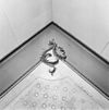 Plafond, detail - 's-Hertogenbosch - 20110761 - RCE -  Bedrijfspand: plafond, detail 