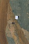 INTERIEUR, GOBELIN IN RAADZAAL, DETAIL - 's-Hertogenbosch - 20307371 - RCE -  Stadhuis: INTERIEUR, GOBELIN IN RAADZAAL, DETAIL 