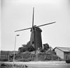 Ronde stenen beltmolen in vervallen staat van voren gefotografeerd - Deurne - 20053797 - RCE -  Holten's Molen: Ronde stenen beltmolen in vervallen staat van voren gefotografeerd 
