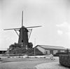 Ronde stenen beltmolen in vervallen staat van voren gefotografeerd - Deurne - 20053793 - RCE -  Holten's Molen: Ronde stenen beltmolen in vervallen staat van voren gefotografeerd 