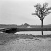 Willem III Hoeve
