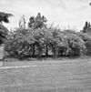 Exterieur overzicht tuin met fruitbomen - Gemert - 20322242 - RCE -  Klooster Nazareth: Exterieur overzicht tuin met fruitbomen 
