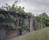 Exterieur overzicht tuinmuur met leifruit - Gemert - 20322244 - RCE -  Klooster Nazareth: Exterieur overzicht tuinmuur met leifruit 