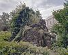 Exterieur achterzijde Lourdesgrot - Gemert - 20322240 - RCE -  Klooster Nazareth: Exterieur achterzijde Lourdesgrot 