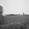 Interieur kloosterkapel, overzicht naar het oosten - Velp - 20348436 - RCE -  Kapucijnenklooster Emmaus: Interieur kloosterkapel, overzicht naar het oosten (opmerking: Gefotografeerd voor Monumenten In Nederland Noord-Brabant) 