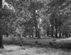 zuid-gevel