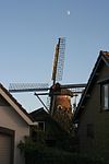 Hoeven - molen De Toekomst tussen huizen -  Hoeven: molen De Toekomst, verscholen tussen huizen