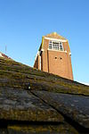 T.T Carp Villa Helmond (4).JPG