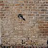 Detail zijgevel Vismarkt, loszittend voegwerk onder kraantje - Heusden - 20340985 - RCE -  Voegwerk: Detail zijgevel Vismarkt, loszittend voegwerk onder kraantje 