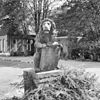 Voorplein van het klooster, rechter leeuw (tuinbeeld) - Nieuwkuijk - 20334871 - RCE -  Abdij Marienkroon: Voorplein van het klooster, rechter leeuw (tuinbeeld) 