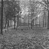 Aanzicht - Goirle - 20080009 - RCE -  aanzicht 
