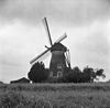Beltmolen van opzij gefotografeerd - Lieshout - 20140057 - RCE -  De Leest: Beltmolen van opzij gefotografeerd 