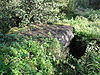 Mill Rijksmonument 525567 S-Kazemat 533 in aarden wal langs Defensiekanaal.JPG -  Mill Rijksmonument 525567 S-kazemat 533 in aarden wal langs Defensiekanaal 