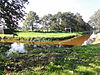 Mill Rijksmonument 509275 stukje schootsveld kazematten 40 en 41 langs Defensiekanaal.JPG -  Mill Rijksmonument 509275 stukje schootsveld kazematten 40 en 41 langs Defensiekanaal 