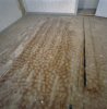 Interieur eerste verdieping, voorkamer, beschilderde vloer