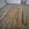 Interieur eerste verdieping, voorkamer, beschilderde vloer - Wouwse Plantage - 20324276 - RCE -  Landgoed Wouwse Plantage: Interieur eerste verdieping, voorkamer, beschilderde vloer 