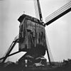 Standaardmolen De Ster - Wanroij - 20249256 - RCE -  Standaardmolen De Ster 