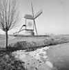 Overzicht windmolen, standerdkorenmolen - Wanroij - 20348250 - RCE -  De Ster Of Hamse Molen: Overzicht windmolen, standerdkorenmolen (opmerking: Gefotografeerd voor Monumenten In Nederland Noord-Brabant) 