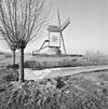 Overzicht windmolen, standerdkorenmolen - Wanroij - 20348249 - RCE -  De Ster Of Hamse Molen: Overzicht windmolen, standerdkorenmolen (opmerking: Gefotografeerd voor Monumenten In Nederland Noord-Brabant, bladzijde 329) 