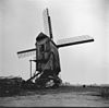 Standaardmolen De Ster - Wanroij - 20249255 - RCE -  Standaardmolen De Ster 