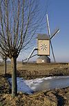 Overzicht windmolen, standerdkorenmolen - Wanroij - 20348885 - RCE -  De Ster Of Hamse Molen: Overzicht windmolen, standerdkorenmolen (opmerking: Gefotografeerd voor Monumenten In Nederland Noord-Brabant) 