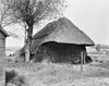 Tongerlose Hoef
