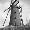 Ronde stenen beltmolen van opzij gefotografeerd - Aalst - 20003494 - RCE -  De Aalstermolen: Ronde stenen beltmolen van opzij gefotografeerd 