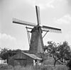 Ronde stenen beltmolen van voren gefotografeerd - Aalst - 20003490 - RCE -  De Aalstermolen: Ronde stenen beltmolen van voren gefotografeerd 