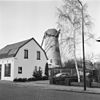 De ontwiekte Aalstermolen met woonhuis op de voorgrond - Aalst - 20003499 - RCE -  De Aalstermolen: De ontwiekte Aalstermolen met woonhuis op de voorgrond 
