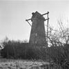 Ronde stenen beltmolen zonder wieken - Aalst - 20003500 - RCE -  De Aalstermolen: Ronde stenen beltmolen zonder wieken 