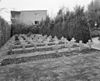 Overzicht begraafplaats - Zundert - 20346946 - RCE -  Voormalig Klooster Sint Anna: Overzicht begraafplaats 