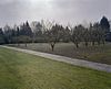Overzicht boomgaard - Zundert - 20346938 - RCE -  Voormalig Klooster Sint Anna: Overzicht boomgaard 