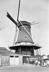 Overzicht van de molen - Alkmaar - 20180445 - RCE -  't Rode Hert: Overzicht van de molen (opmerking: Van deze molen is ook een Sipman-tekening) 