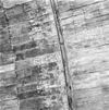 Schildering gewelfribbe met restanten van beschilderde plantornamenten in oostelijke gewelfdeel van de St. Joriskapel - Amsterdam - 20012249 - RCE -  Oude Kerk: schildering gewelfribbe met restanten van beschilderde plantornamenten in oostelijke gewelfdeel van de St. Joriskapel 
