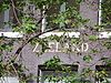 Prinsengracht 689 sign.JPG - This image was uploaded as part of Wiki Loves Monuments 2011. Afrikaans | Ð±ÐµÐ»Ð°Ñ€ÑƒÑÐºÐ°Ñ | Ð±ÐµÐ»Ð°Ñ€ÑƒÑÐºÐ°Ñ (Ñ‚Ð°Ñ€Ð°ÑˆÐºÐµÐ²Ñ–Ñ†Ð°)â€Ž | brezhoneg | catalÃ  | ÄeÅ¡tina | dansk | Deutsch | Zazaki | English | Esperanto | espaÃ±ol | eesti | franÃ§ais | Frysk | galego | Alemannisch | ×¢×‘×¨×™×ª | magyar | italiano | LÃ«tzebuergesch | Ð¼Ð°ÐºÐµÐ´Ð¾Ð½ÑÐºÐ¸ | à´®à´²à´¯à´¾à´³à´‚…
