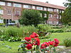 Harmoniehof tuinaanleg.JPG -  Tuinaanleg Harmoniehof 