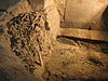 WLM - Minke Wagenaar - 130 3047 - 130_3047 