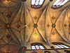 WLM - Minke Wagenaar - IMG 0035 - 